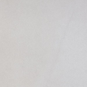 Gạch lát sàn Trường Thịnh NATURSTONE BE66110